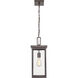 Barkeley 1 Light 8 inch Powder Coated Bronze Outdoor Hanging Lantern